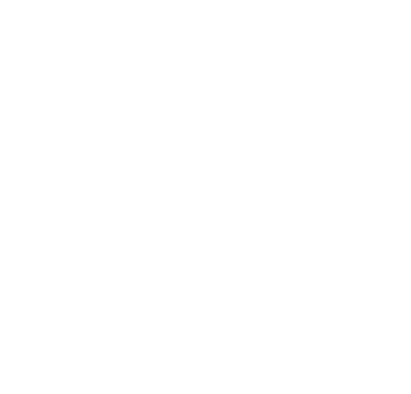 Merle Seemann Coaching